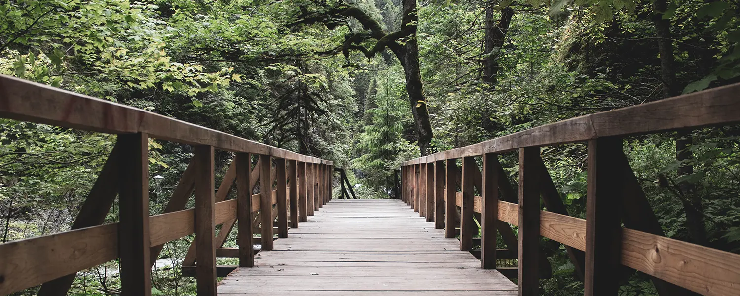 questions sur les retraites psychédélique et la psilocybine