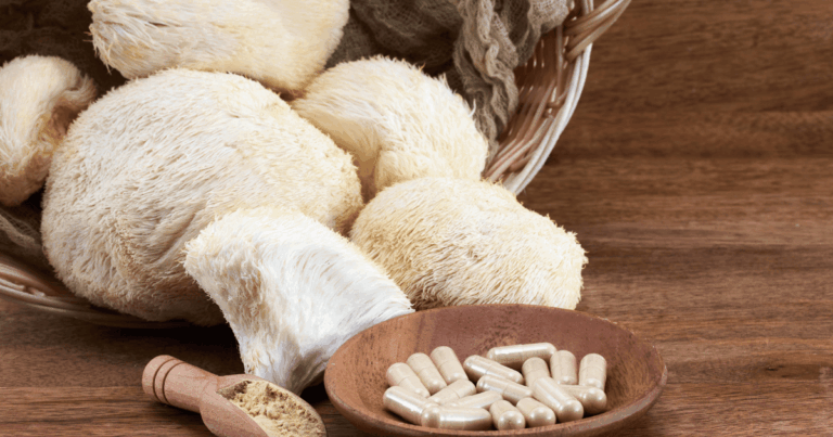 Comment consommer les champignons médicinaux