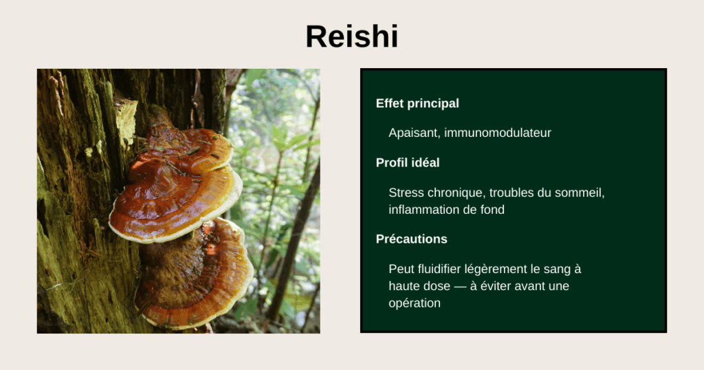 bénéfices du Reishi