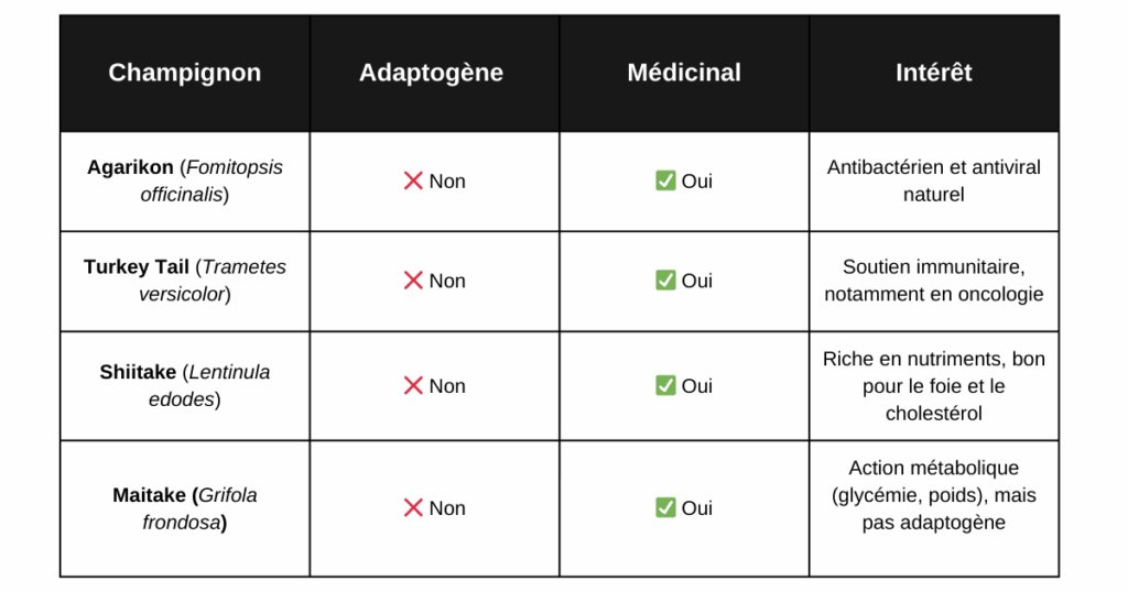ableau des différences entre champignons médicinaux et champignons adaptogènes