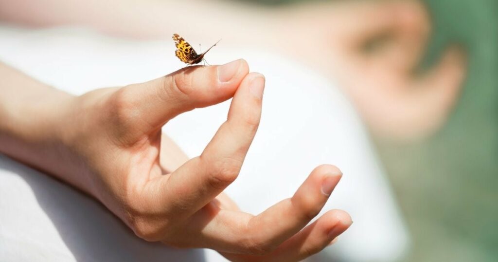 Papillon posé sur un doigt en posture de méditation, main en mudr