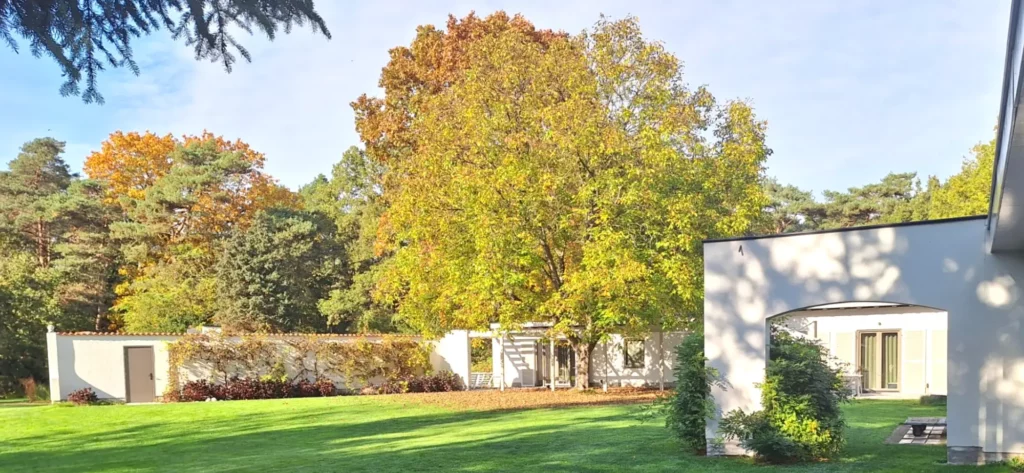 Institut Renaissance - Centre de retraites thérapeutiques à la psilocybine dans un cadre naturel préservé