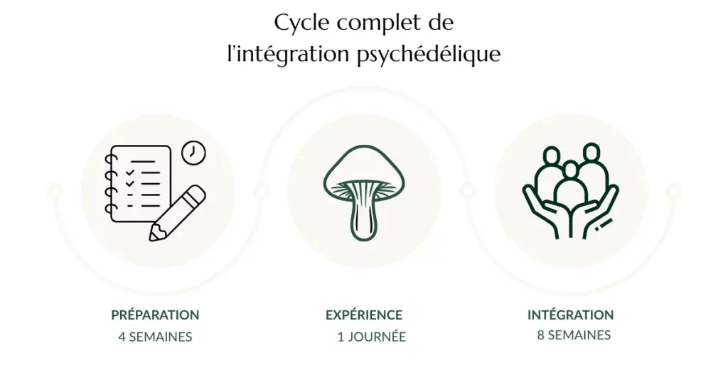 Cycle complet préparation-expérience-intégration psychédélique