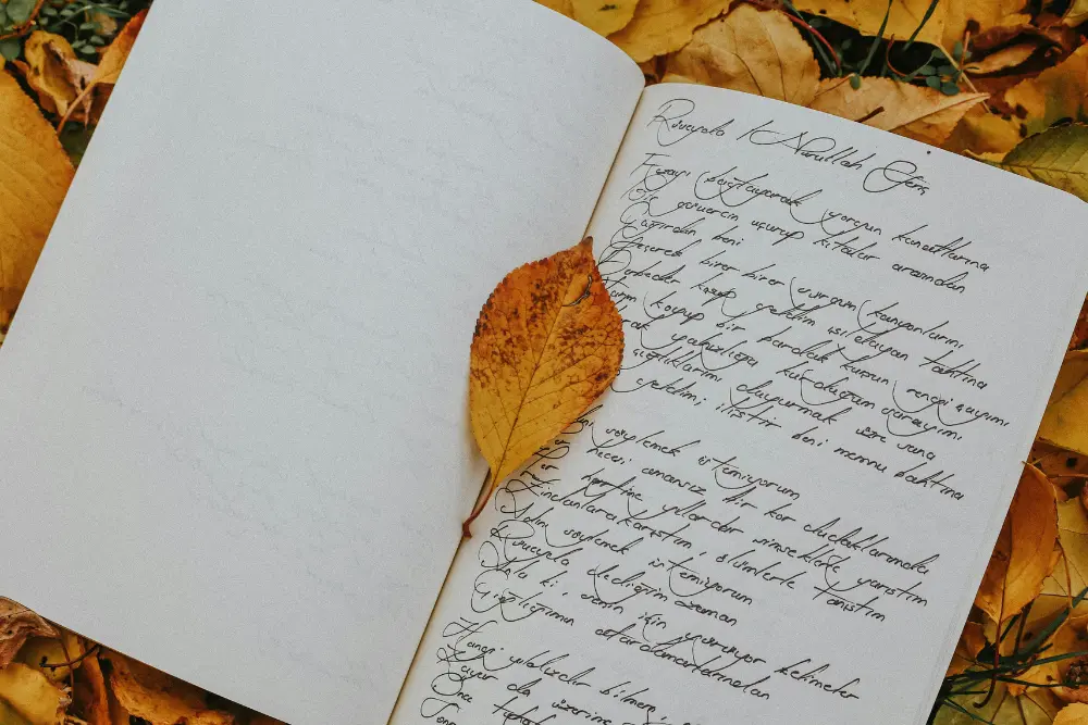 Journal d'intégration psychédélique avec écriture manuscrite et éléments naturels