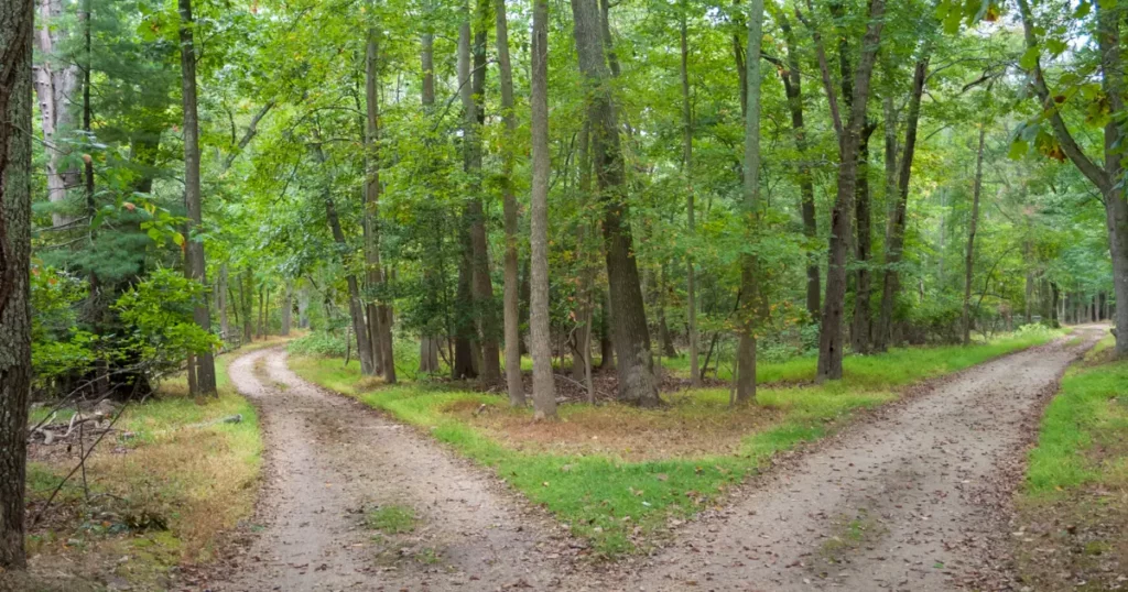 Métaphore visuelle des choix à faire pendant l'intégration psychédélique