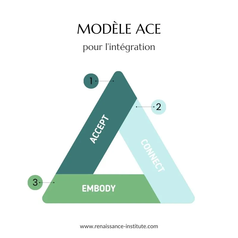 Modèle ACE de Rosalind Watts pour l'intégration psychédélique : Accept, Connect, Embody