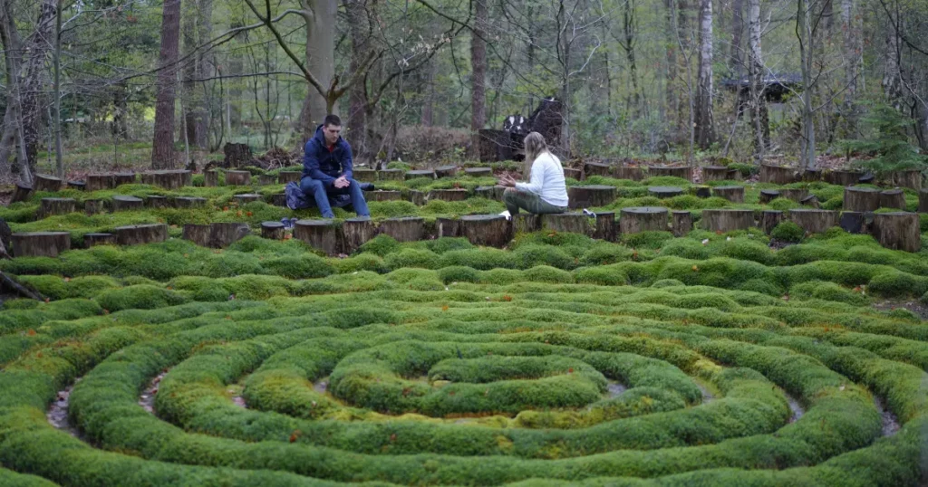 Préparation d’une expérience psychédélique : clarification de l’intention dans un cadre calme et sécurisant
